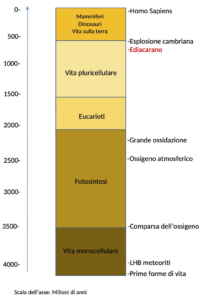 L'Ediacarano nella timeline preumana